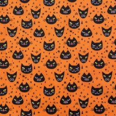 Polycotton Print Halloween Cat got your Fun, Orange