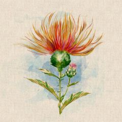 Discover Direct - Cotton Linen Look Digital Panels & All Overs, Highland Thistle