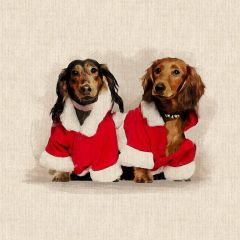 Discover Direct - Crafty Linen Cotton Rich Fabric xMas Digital Panel Christmas Dachshunds