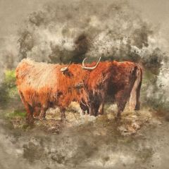 Discover Direct - Crafty Linen Cotton Rich Fabric Premium Art, Highland Cattle