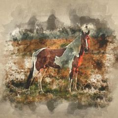 Discover Direct - Crafty Linen Cotton Rich Fabric Premium Art, Wild Horse